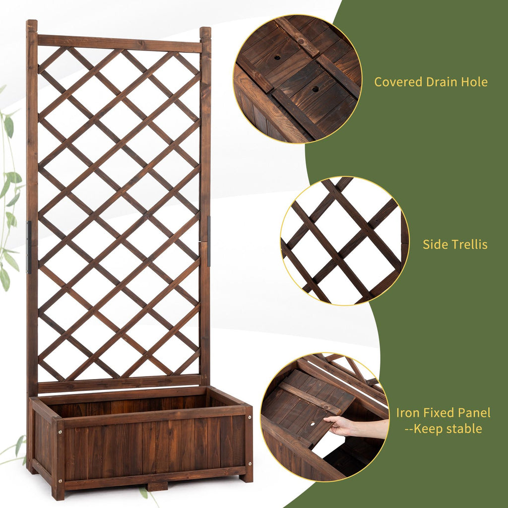 556055941