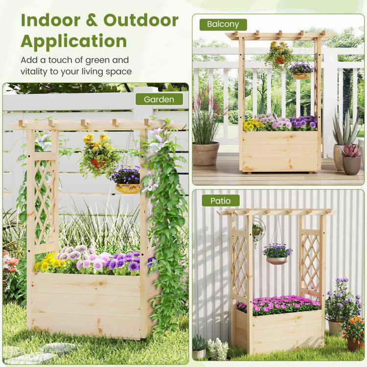 556070061